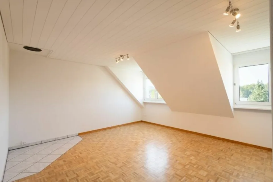Cozy Attic Apartment in Sulgen