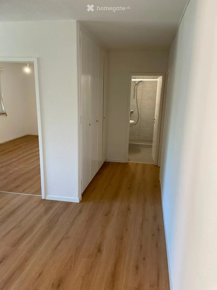 2.5 room apartment with balcony, near Triemli