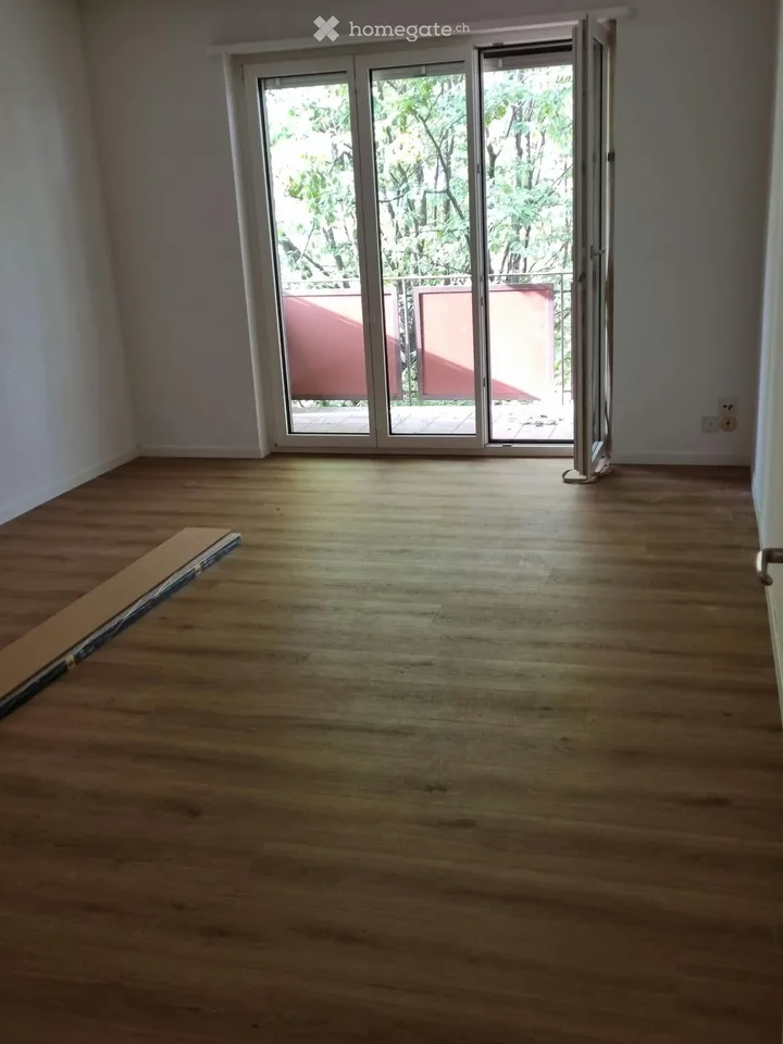 2.5 room apartment with balcony, near Triemli
