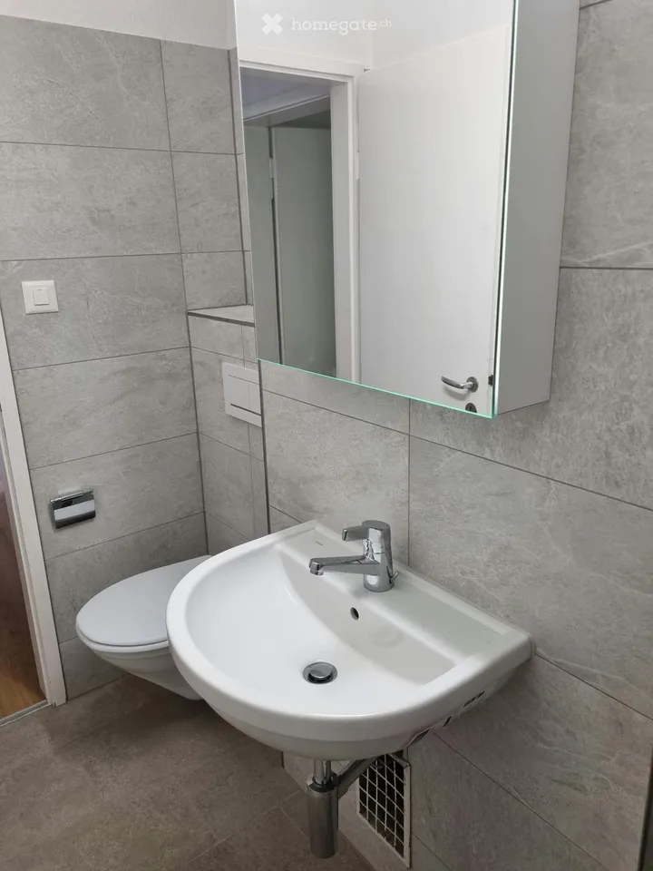 2.5 room apartment with balcony, near Triemli