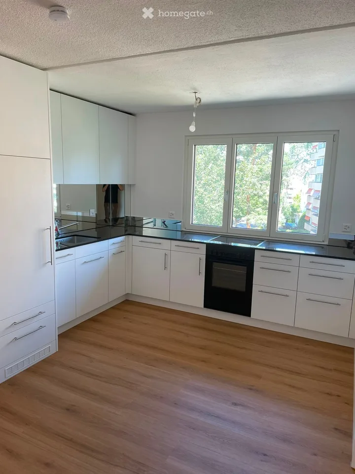 2.5 room apartment with balcony, near Triemli