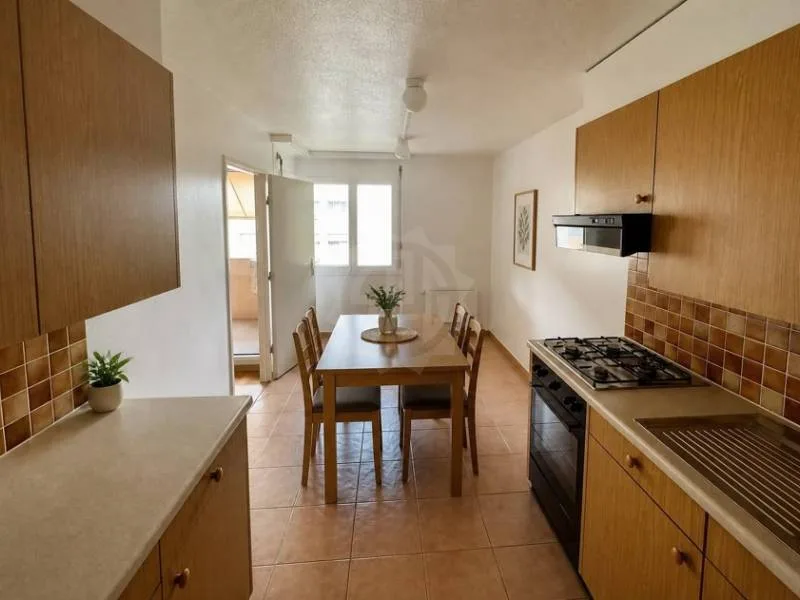 Pleasant apartment - NYON