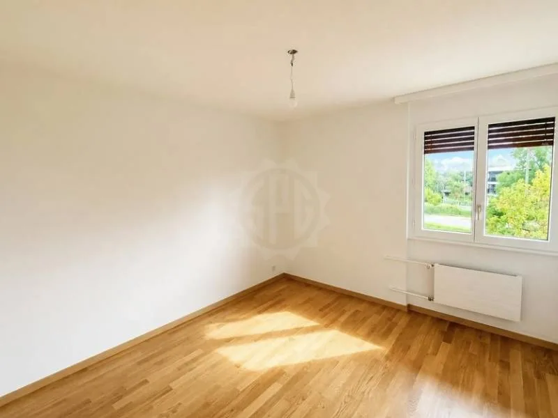 Pleasant apartment - NYON