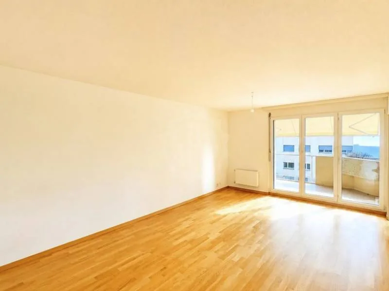 Pleasant apartment - NYON