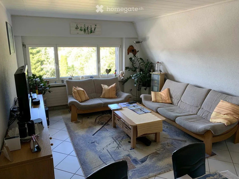 Bright 3.5-room apartment with balcony and beautiful view in Winkel