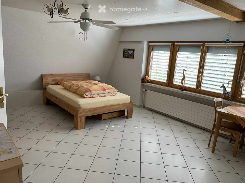 Bright 3.5-room apartment with balcony and beautiful view in Winkel