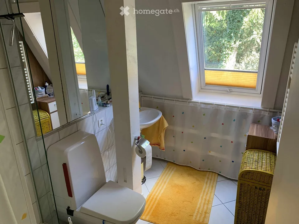 Bright 3.5-room apartment with balcony and beautiful view in Winkel