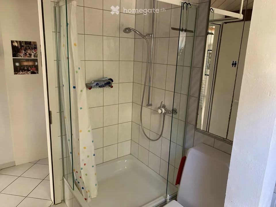 Bright 3.5-room apartment with balcony and beautiful view in Winkel