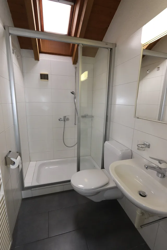 5.5-Zimmer-Einfamilienhaus mit Lift und grosser Terrasse