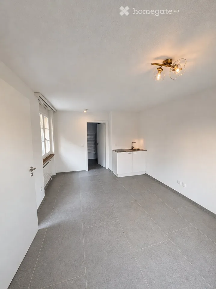 Erstbezug nach Sanierung, grosses Einfamilienhaus mit Studio