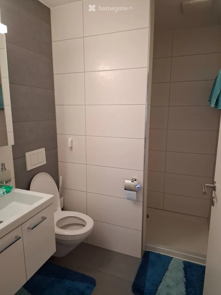 Tenant wanted from September 1st