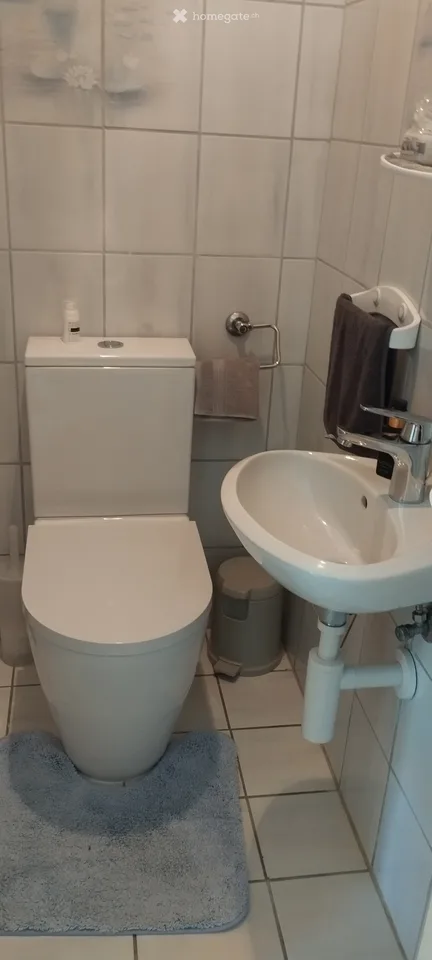 Gemütliche 2.5-Zimmer-Wohnung im renovierten Altbau in Zeiningen