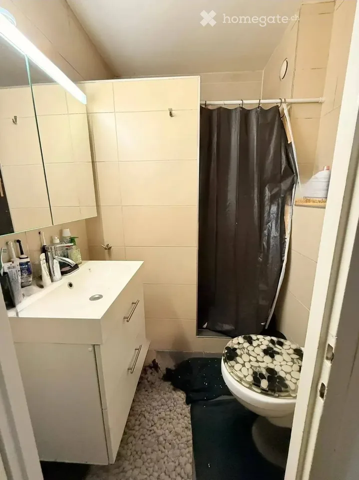 3-room apartment in Chêne-Bourg (fees upon allocation)