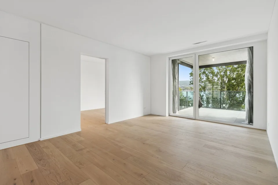 Charming 2.5-room apartment with lake view