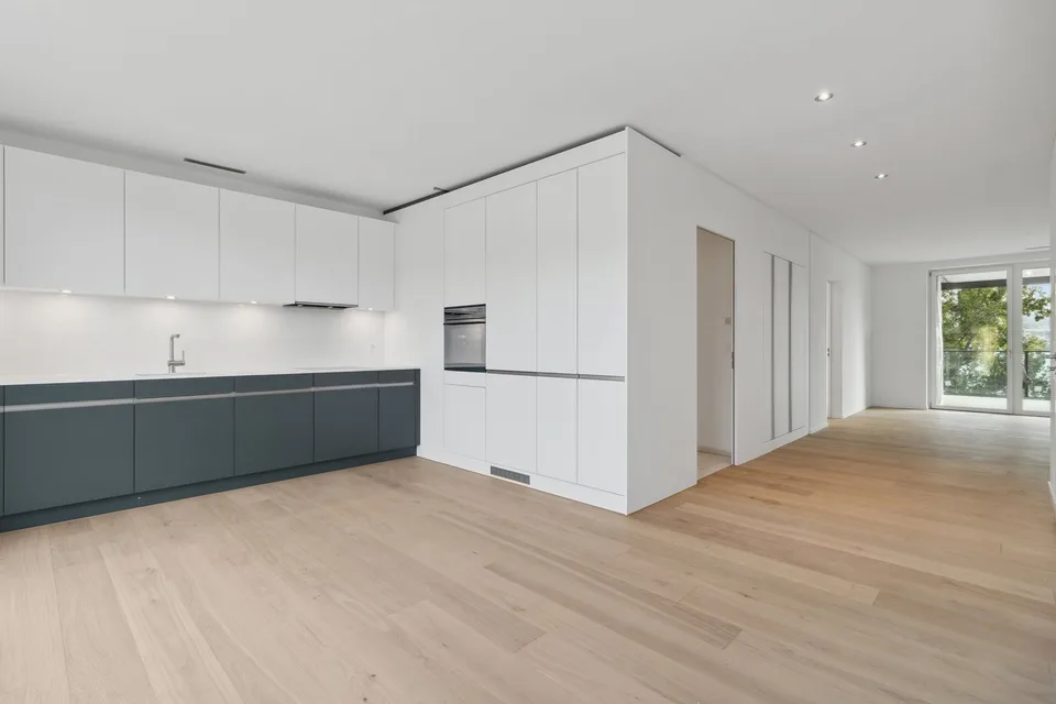 Charming 2.5-room apartment with lake view