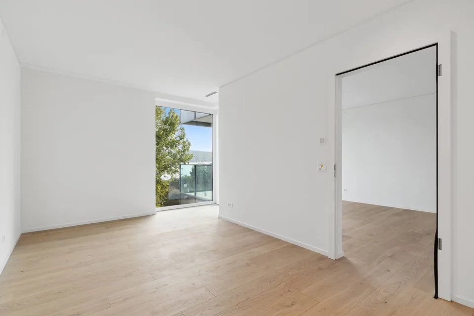 Charming 2.5-room apartment with lake view