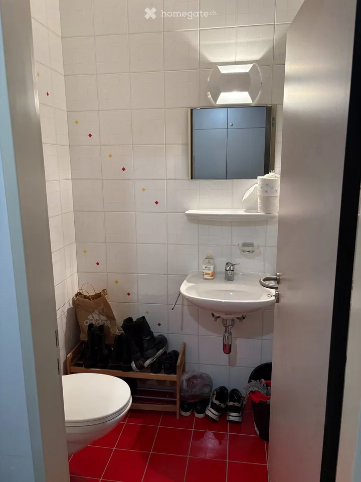 DRINGEND gesucht: 3.5-Zimmer-Wohnung in Massagno