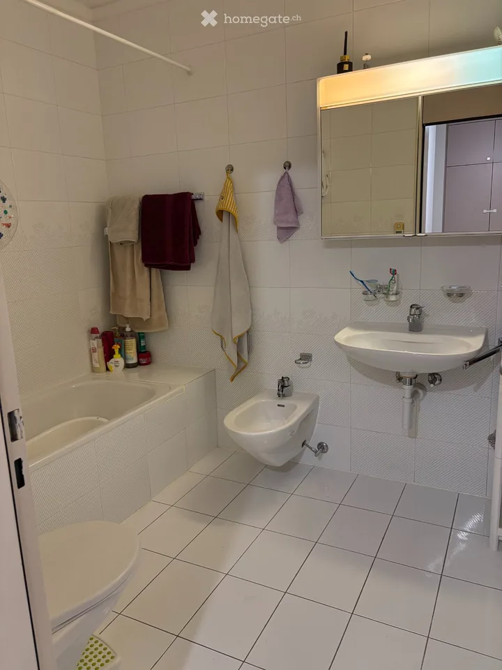 DRINGEND gesucht: 3.5-Zimmer-Wohnung in Massagno