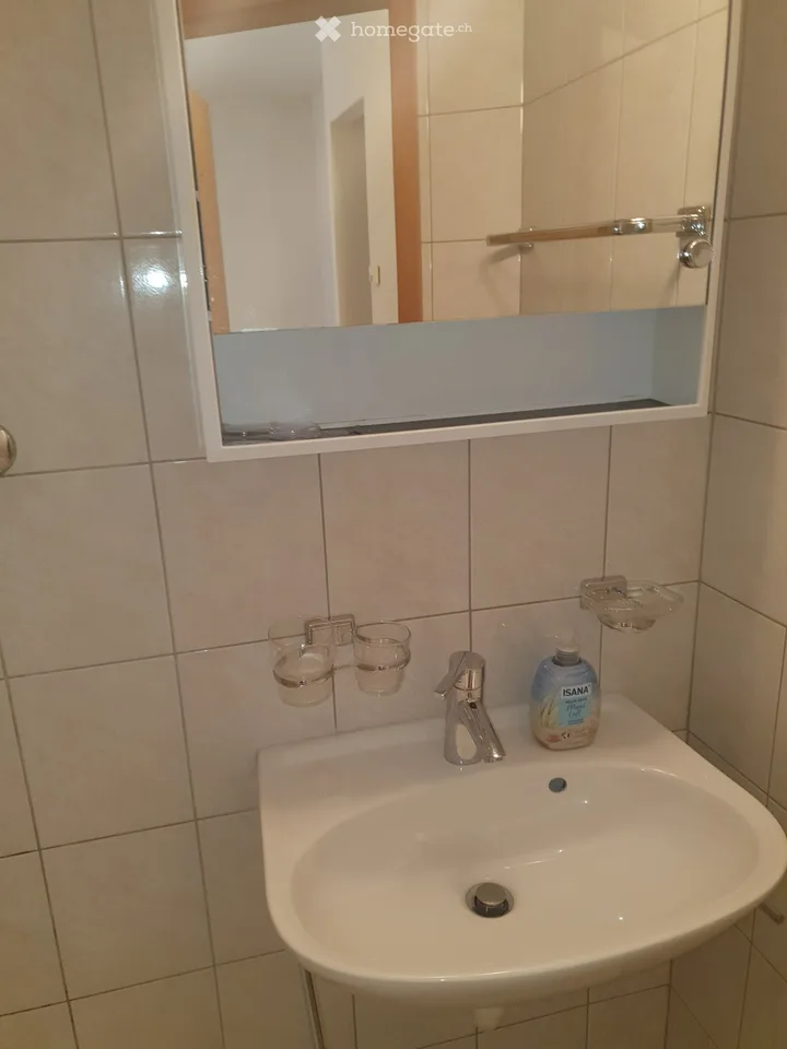 Appartamento Monolocale sulla Furkastrasse a Bitsch