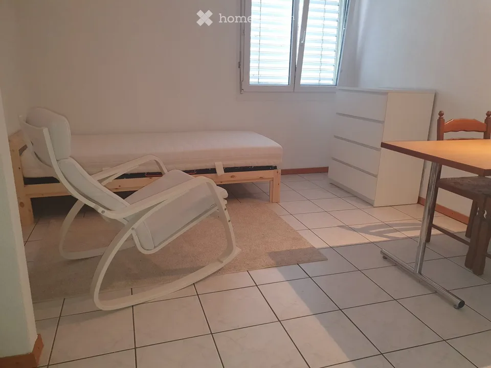 Studio Wohnung an der Furkastrasse in Bitsch