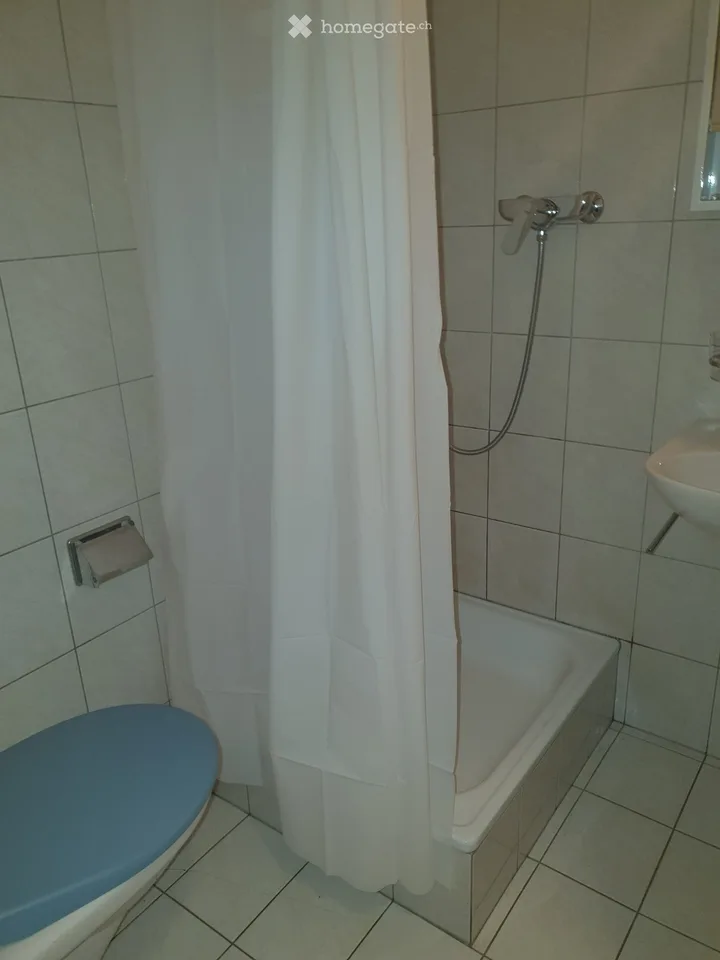 Appartamento Monolocale sulla Furkastrasse a Bitsch