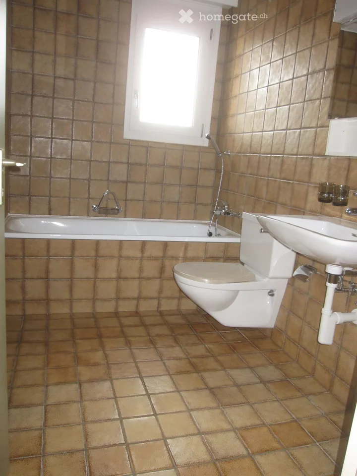 Wohnung in Frauenfeld