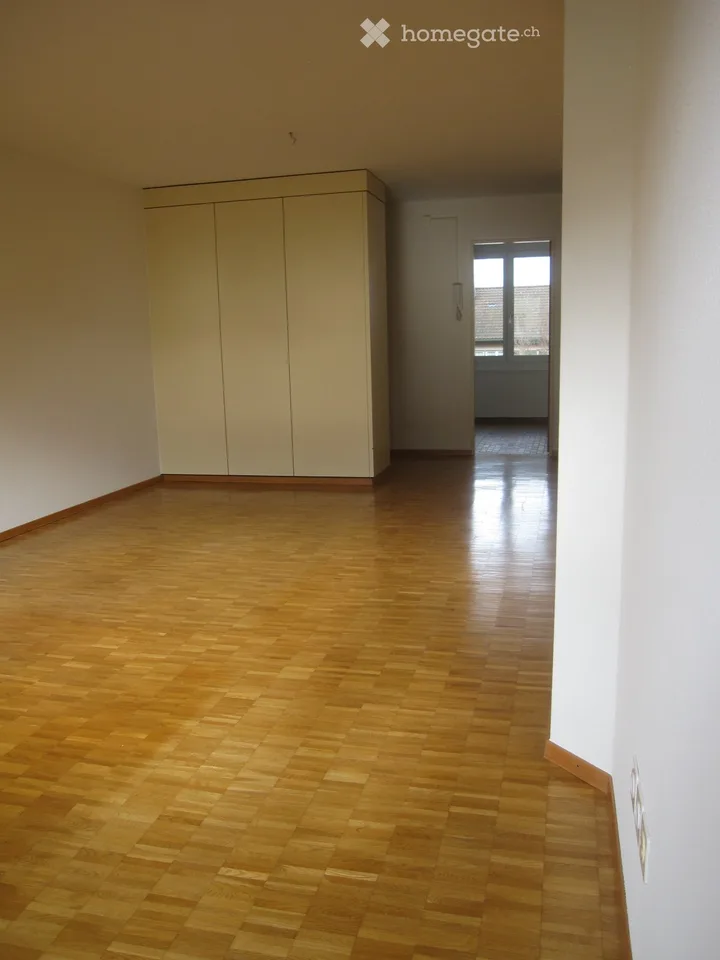 Wohnung in Frauenfeld