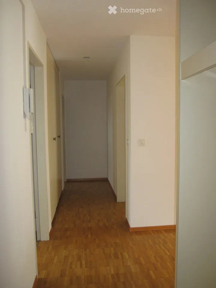 Wohnung in Frauenfeld