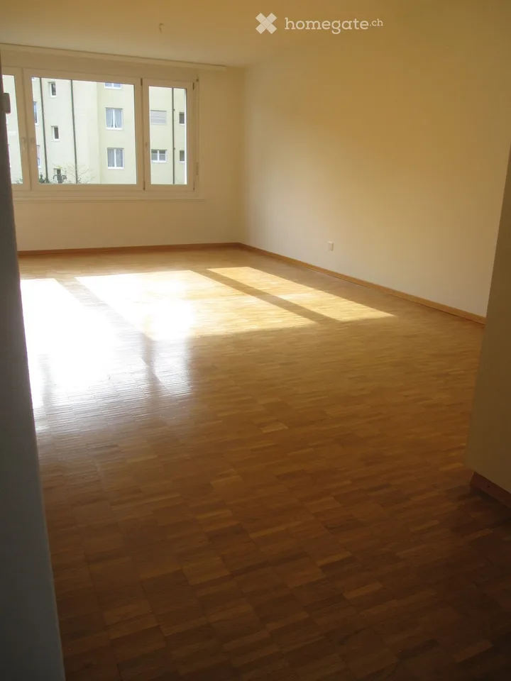 Wohnung in Frauenfeld
