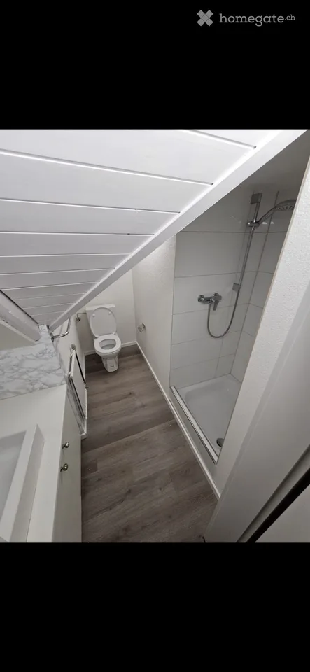 2.5 ZH-Wohnung