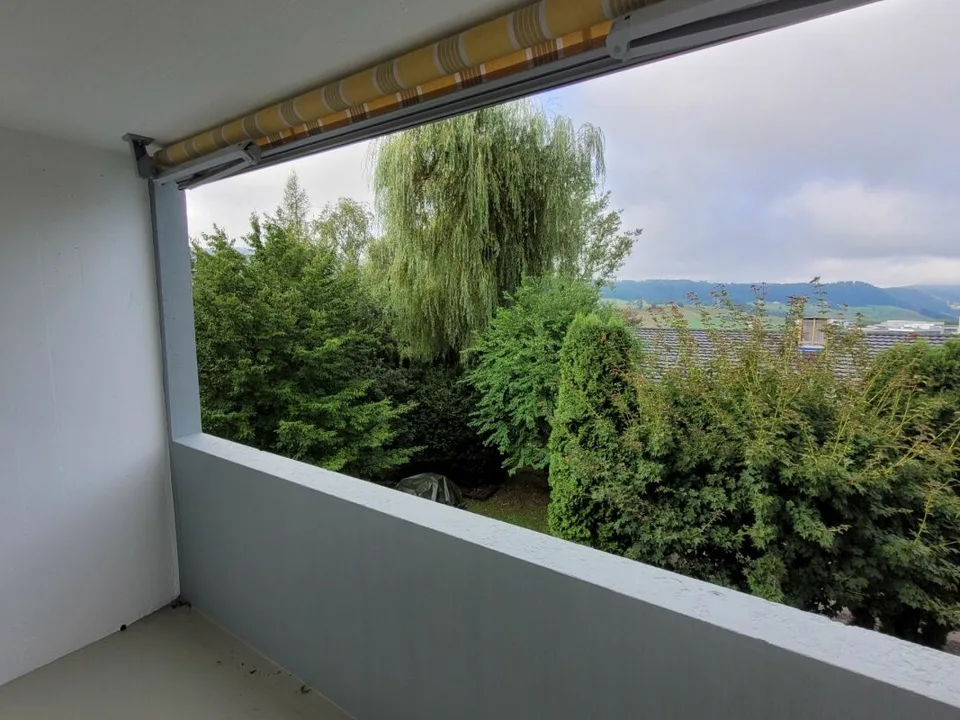 Recently renovated 3-room apartment with balcony!