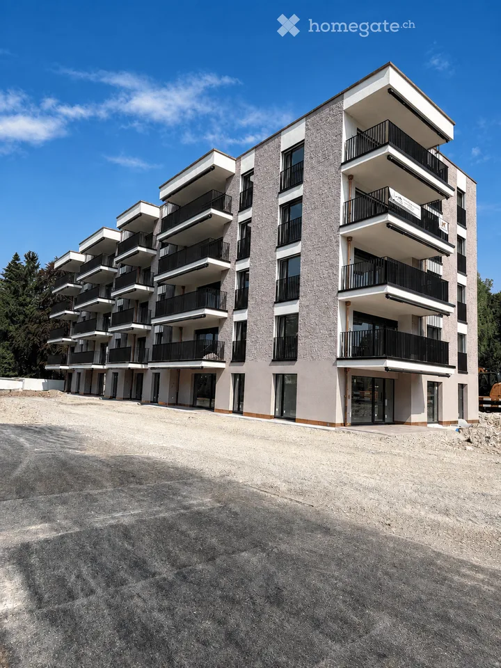 First rental: 4.5-room apartment in Wetzikon (more apartments available)
