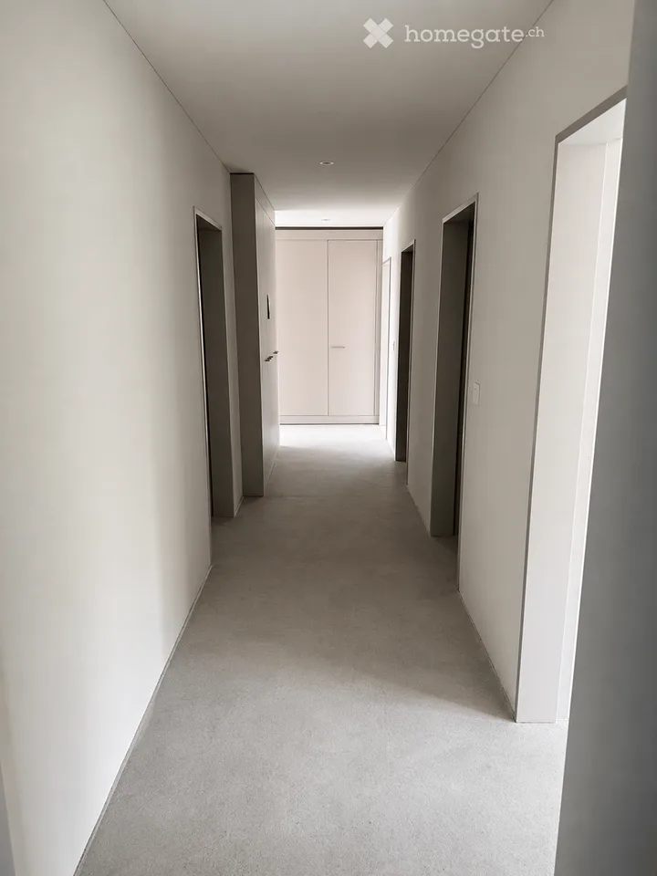 First rental: 4.5-room apartment in Wetzikon (more apartments available)