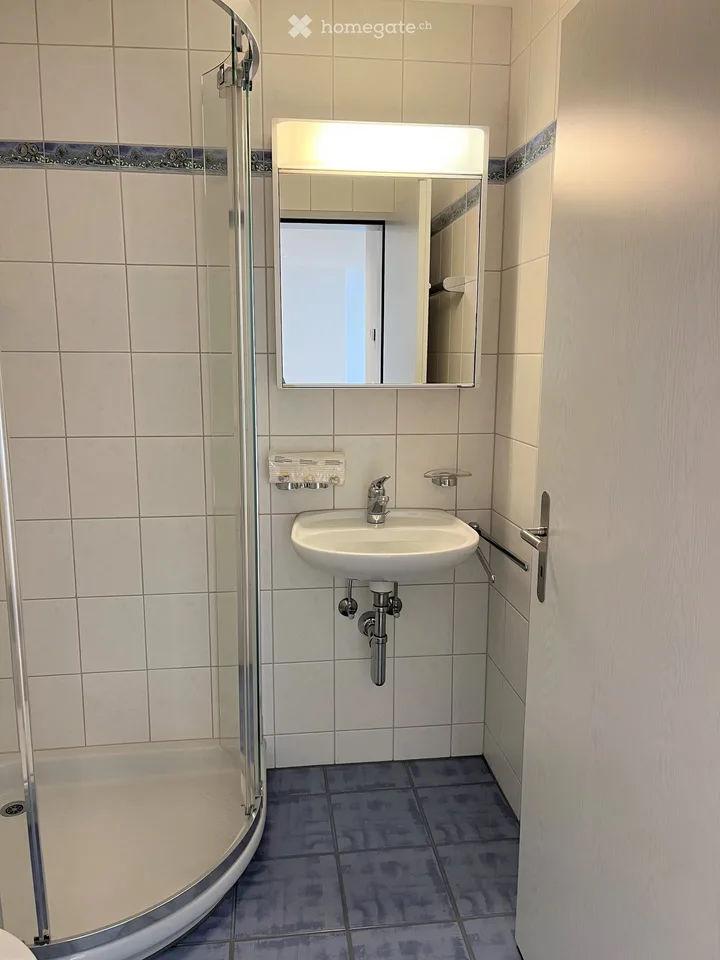 Spacious 4.5-room apartment on Bahnhofstrasse in Seewen SZ – available from November!