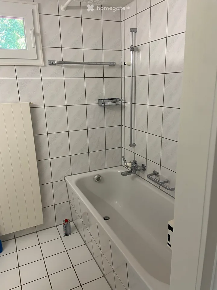 Charmante helle 4.5-Zimmer-Altbauwohnung mit Balkon in Necker