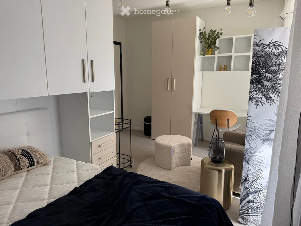 Lugano city center – 1.5 rooms furnished, completely renovated, 3 minutes from USI