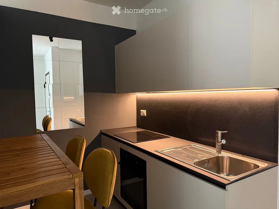 Lugano city center – 1.5 rooms furnished, completely renovated, 3 minutes from USI