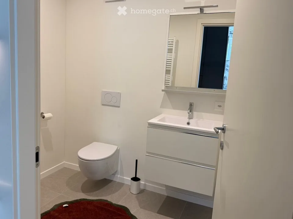 Lugano city center – 1.5 rooms furnished, completely renovated, 3 minutes from USI