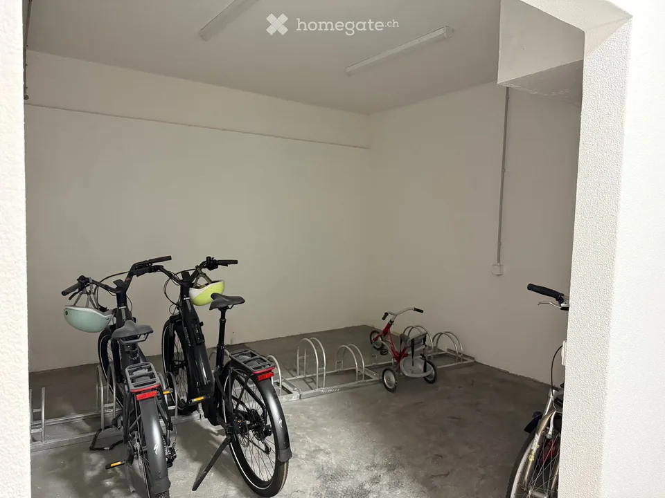Lugano city center – 1.5 rooms furnished, completely renovated, 3 minutes from USI