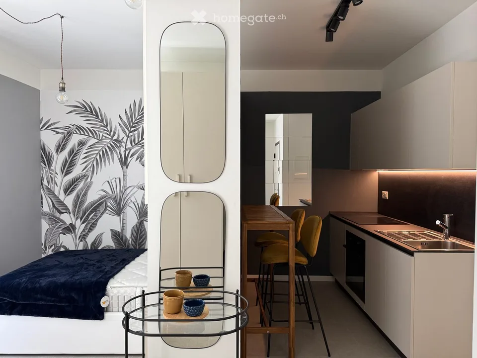 Lugano city center – 1.5 rooms furnished, completely renovated, 3 minutes from USI