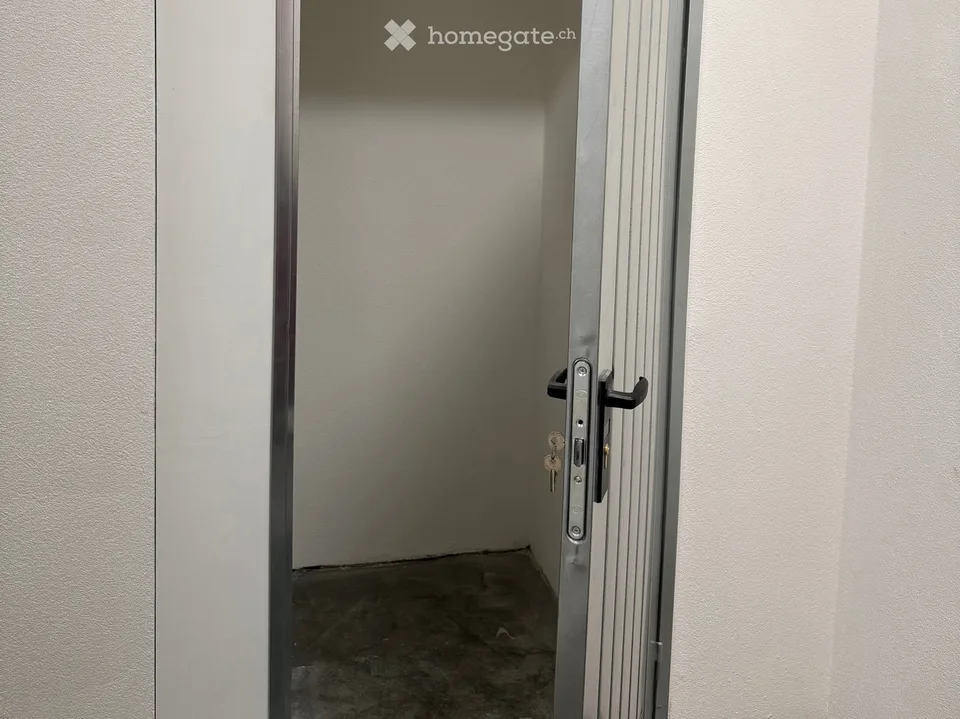 Lugano city center – 1.5 rooms furnished, completely renovated, 3 minutes from USI
