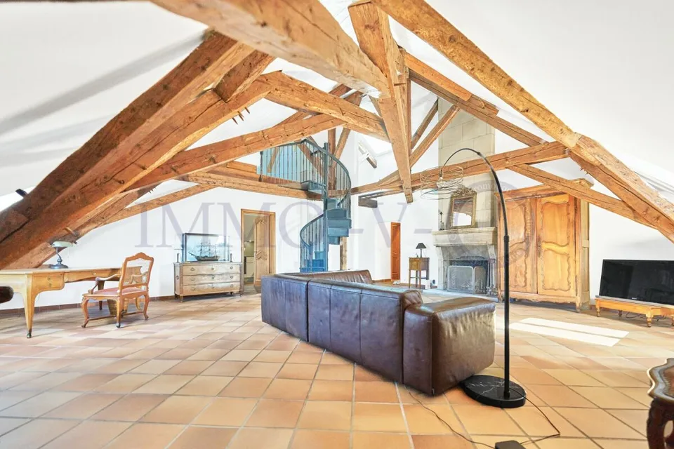 SPACIEUX AVEC CACHET ET EMPLACEMENT IDEAL - MEUBLE