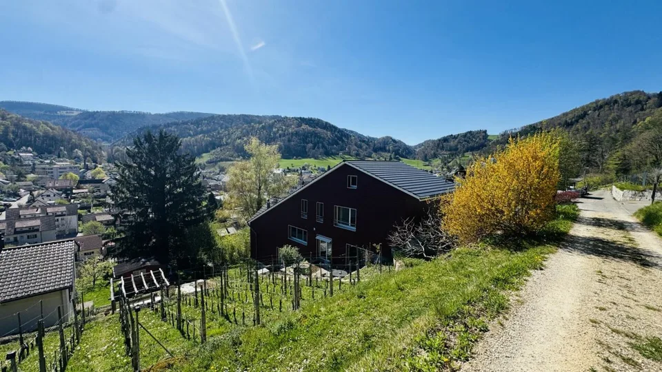 6.5-Zimmer-Architektenhaus mit Pool, Garagenbox, 3 Parkplätzen und Weitsicht