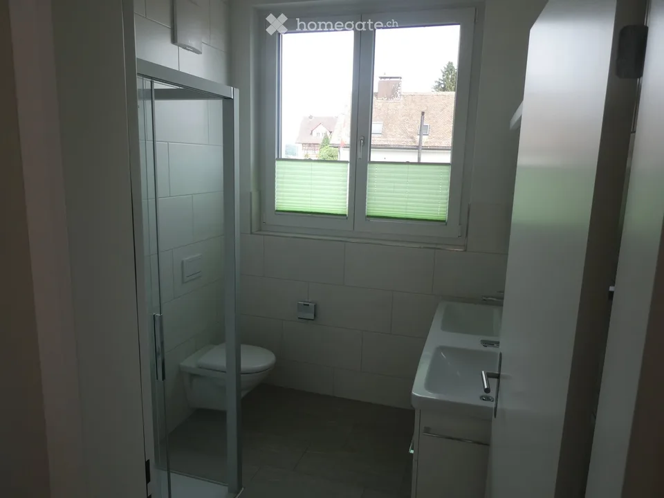 Charmant appartement maisonnette 4.5 pièces à Horgen – disponible immédiatement !