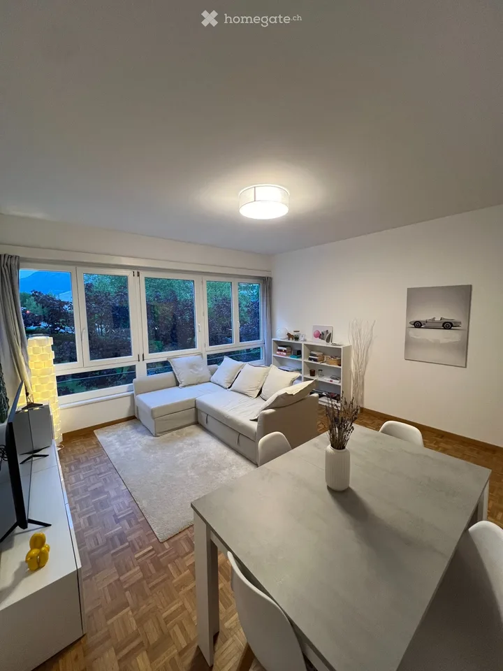 2.5 locali ristrutturati in centro Lugano/zona USI