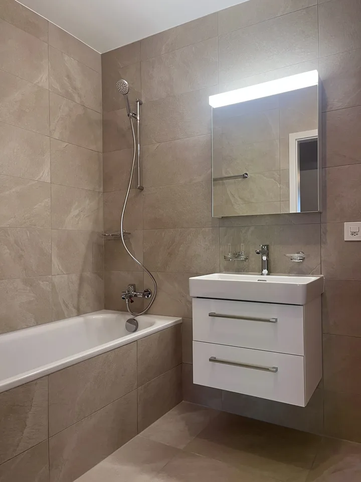 Magnificent new apartment in Versoix