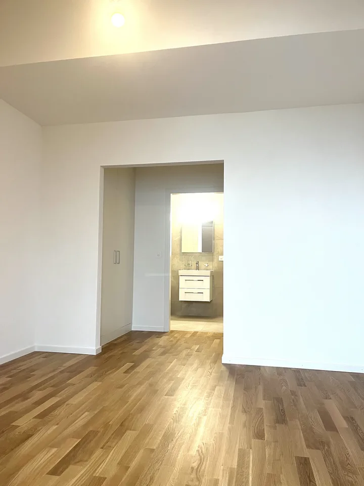 Magnificent new apartment in Versoix