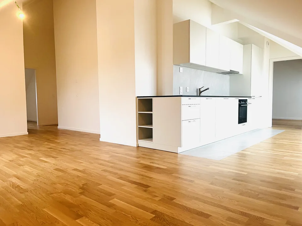 Magnificent new apartment in Versoix