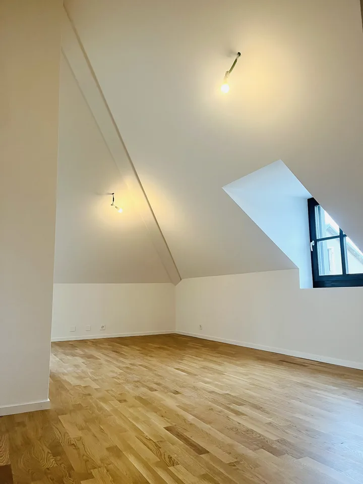 Magnificent new apartment in Versoix