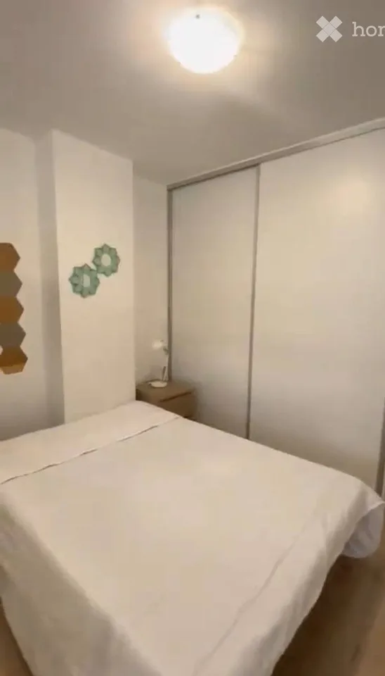 Studio meublé à louer à Genève Plainpalais / UNIGE